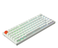 SMX Kishu Honey Switch Lumos white SMXG050 - 1417238 - zdjęcie 5